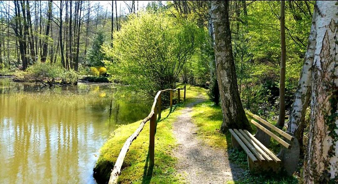 Ferienwohnung Am Waldsee Mit Schwimmbad Gernsbach Esterno foto