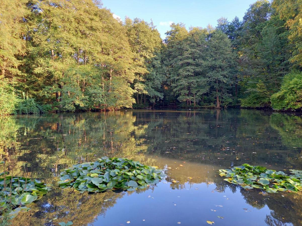 Ferienwohnung Am Waldsee Mit Schwimmbad Gernsbach Esterno foto